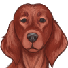 custom by #37897: Irish Setter friend. Fits APBT, Aussies, GSDs, Papillons, Shetlands, and Huskies.